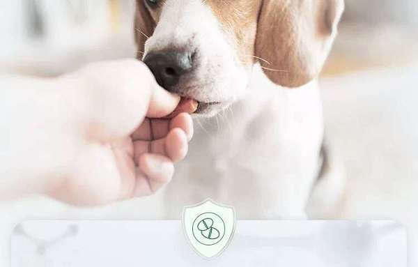 0.1g Compound Febantel Tablets for dogs.jpg