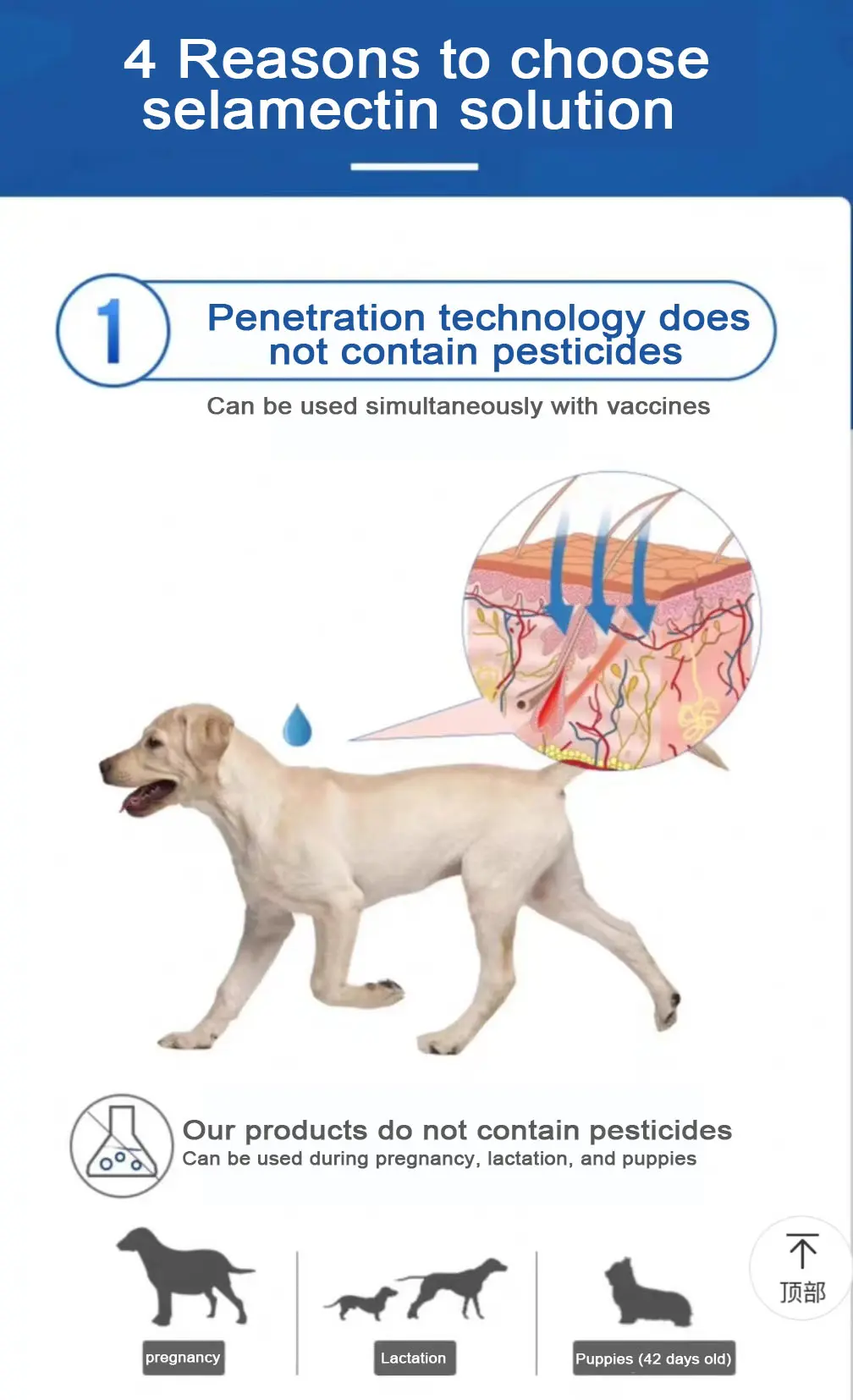 0.25ml for cat Selamectin Solution