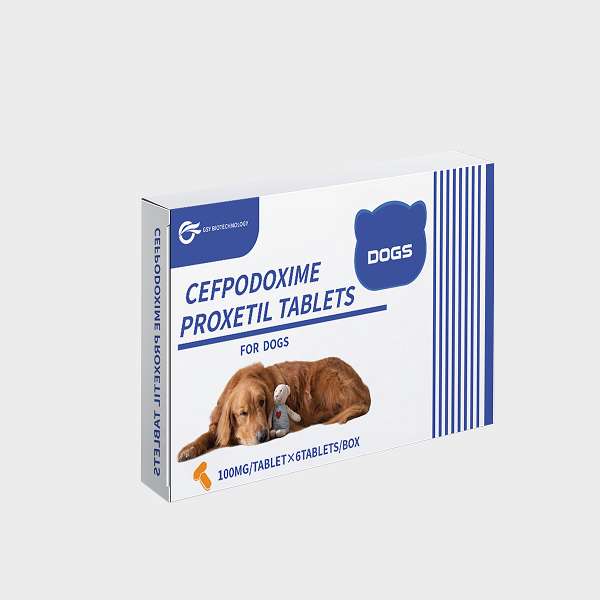 100 mg For dogs Cefpodoxime Proxetil Tablets.jpg