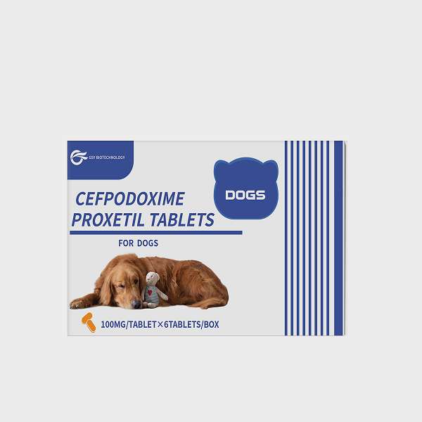 100 mg For dogs Cefpodoxime Proxetil Tablets.jpg