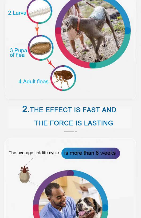 112.5 mg Fluralaner Chewable Tablets  for dog 