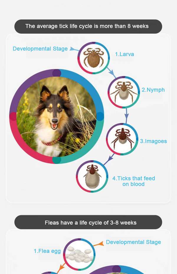 112.5 mg Fluralaner Chewable Tablets  for dog 