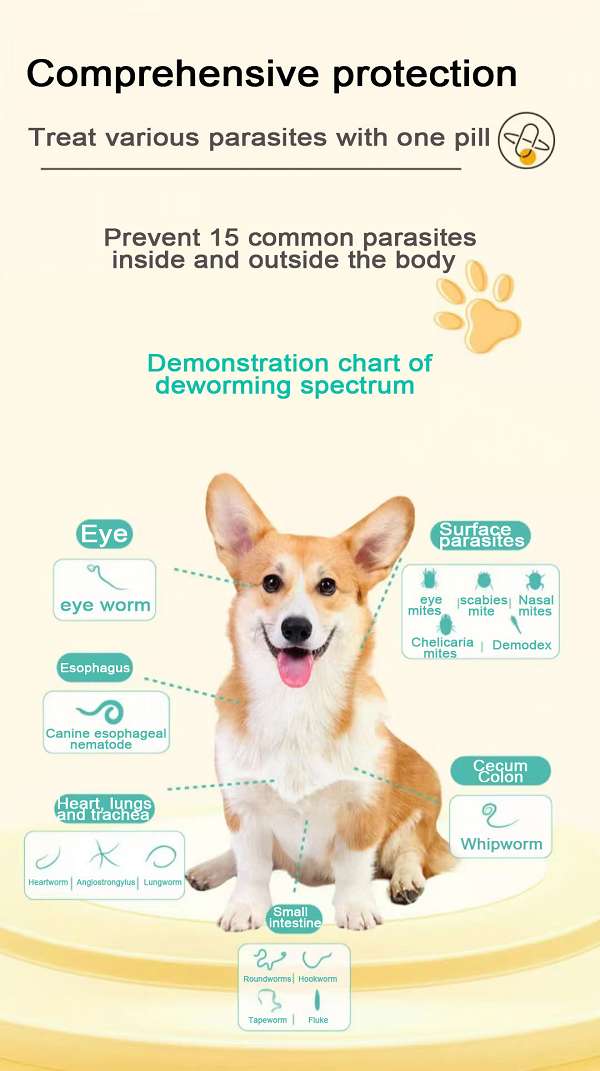 137.5 mg MilbemycinOxime and Praziquantel Tablets  for Dogs.jpg