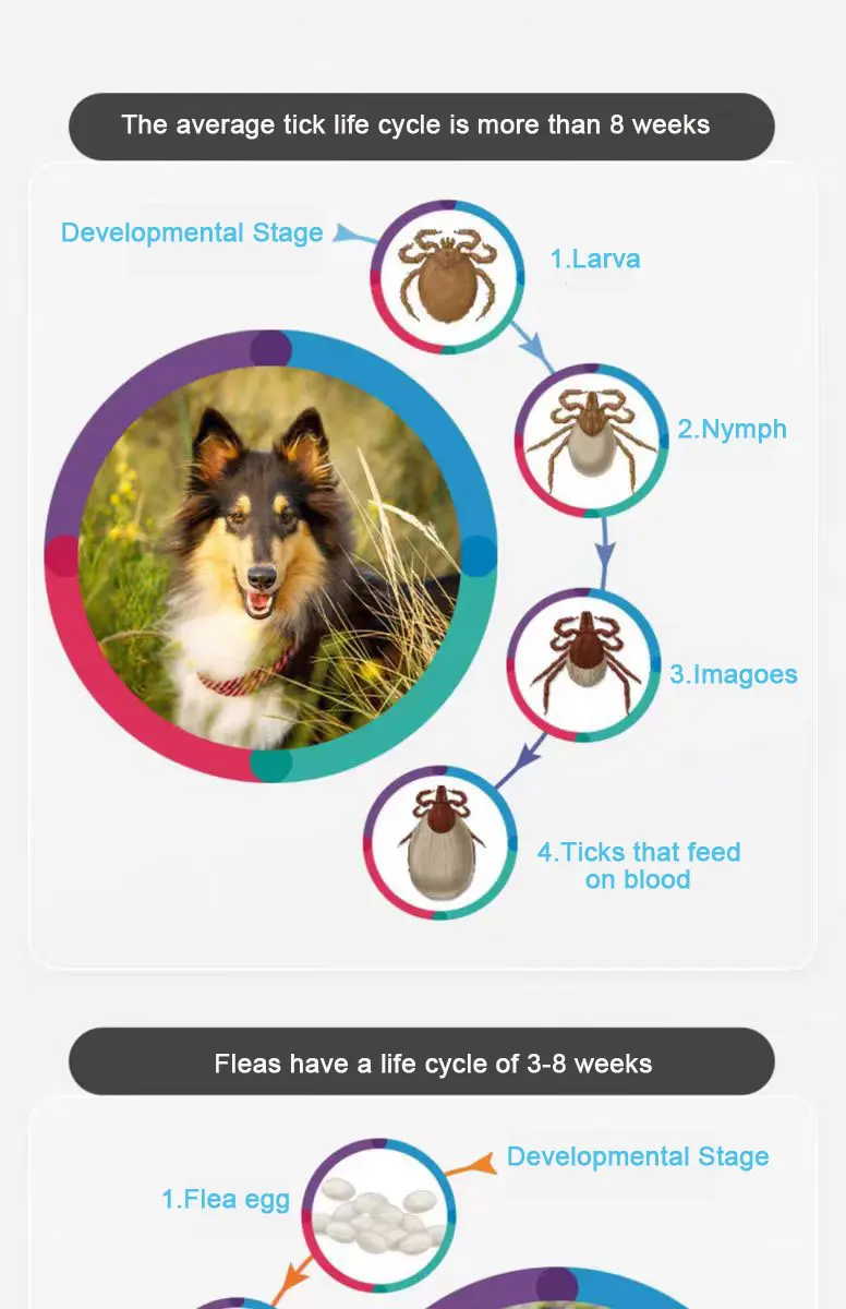 1400 mg Fluralaner Chewable Tablets for dogs