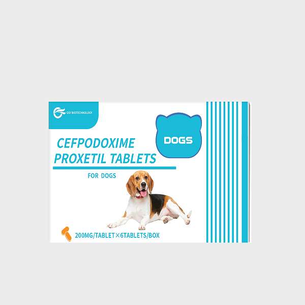 200 mg For dogs Cefpodoxime Proxetil Tablets.jpg