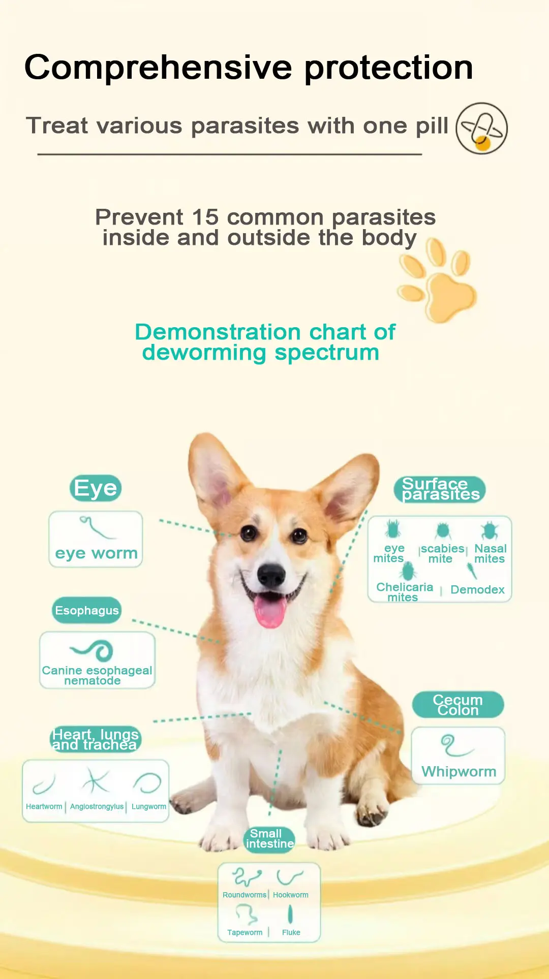 27.5 mg MilbemycinOxime and Praziquantel Tablets for Dogs