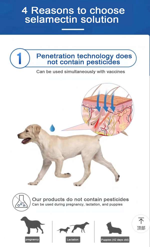 3.0ml for dog Selamectin Solution.jpg