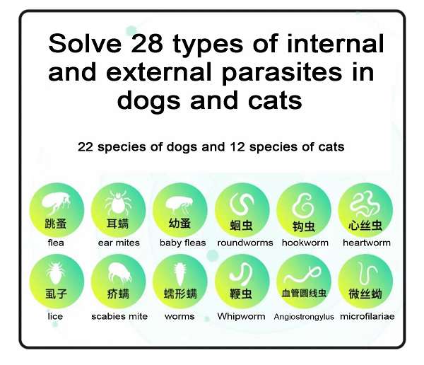 4.0ml For dogs Imidacloprid Spot-on Solutions