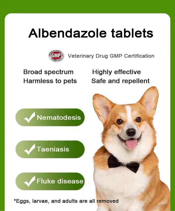 50 mg Albendazole tablet for pets.jpg