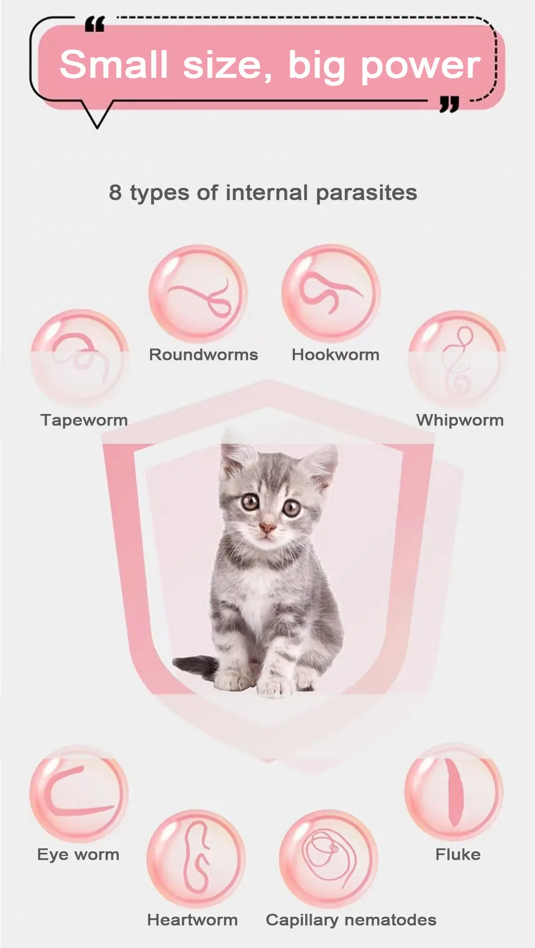 56 mg Milbemycin Oxime and Praziquantel Tablets for cats