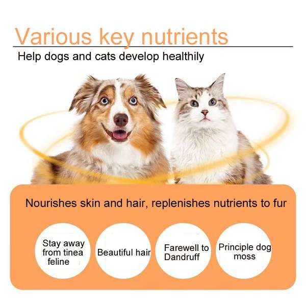 Pet Nutritional Supplements Multivitamin Tablets