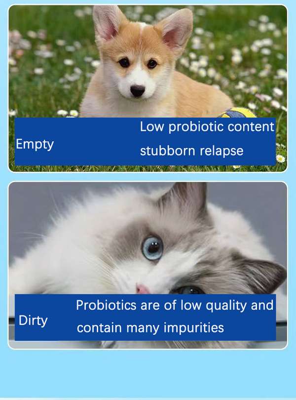 Probiotics for pets