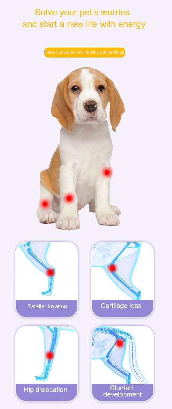 Shark Cartilage Tablets for pets